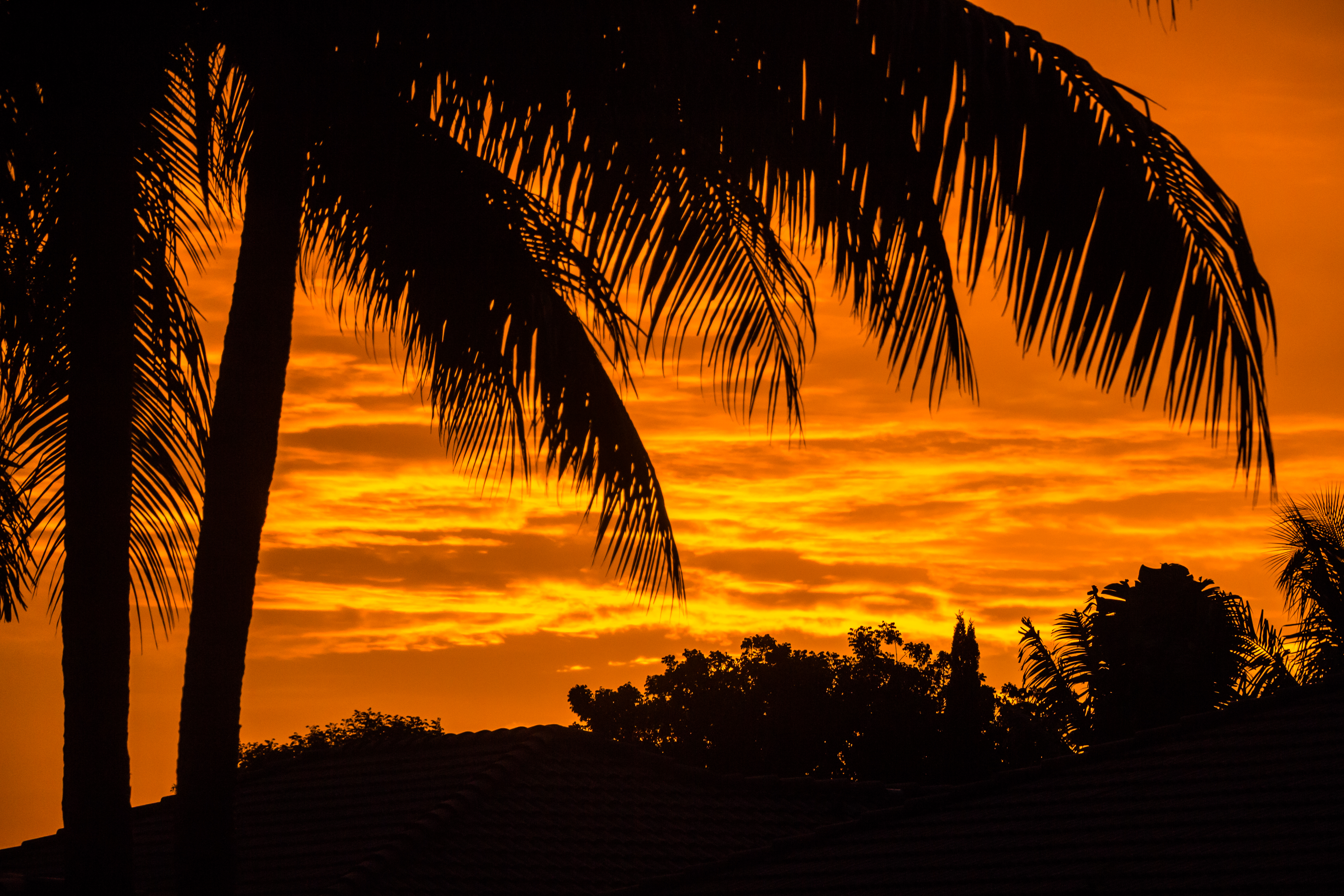 Miami Sunset